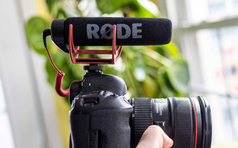 Rode videomic Go attached to a camera in front of some plants