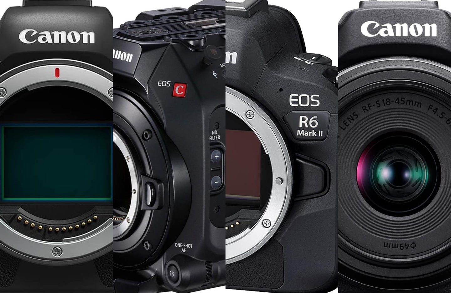 four of the best Canon cameras for video sliced together