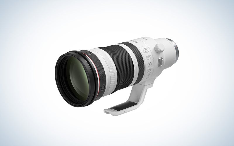 Canon RF 100-300mm f/2.8 L IS USM telephoto lens