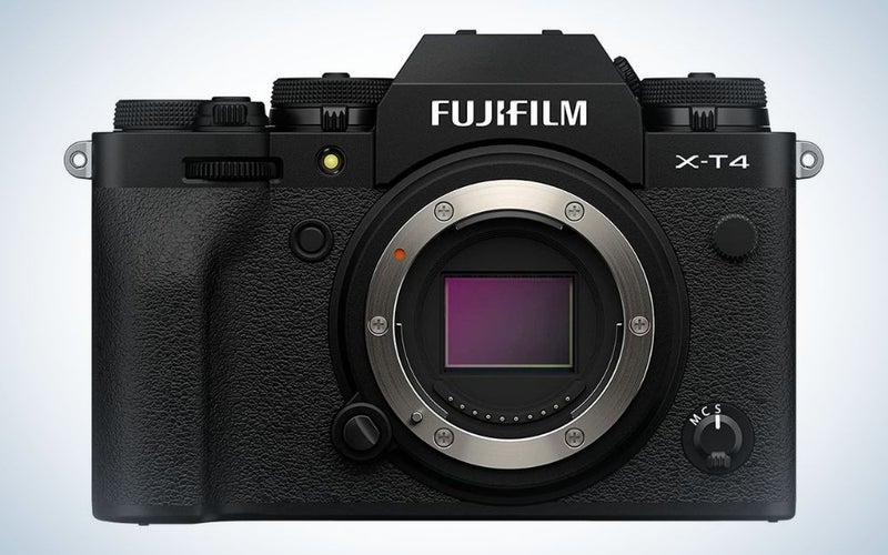 Fujifilm X-T4 is the best honorable mention camera for wildlife photography.