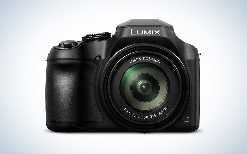 Panasonic LUMIX DC-FZ80 bridge camera